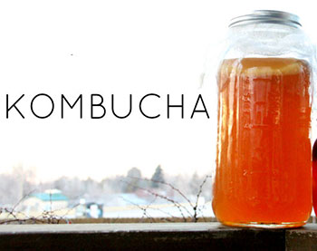 Kombucha